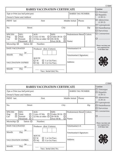 Texas Rabies Certificate Template 3