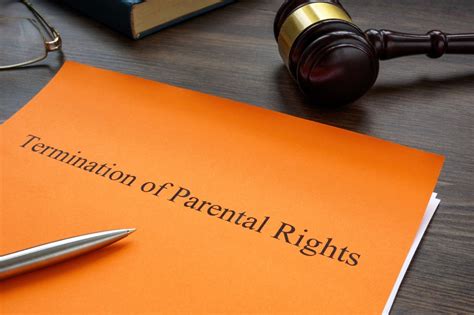 Texas Termination of Parental Rights Form Example