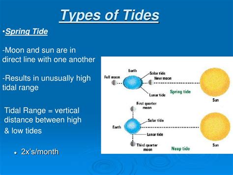 Tide Chart Types