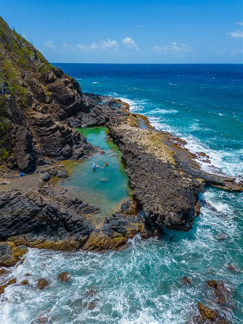 Tide Pool Tourism