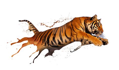 Tiger Creativity