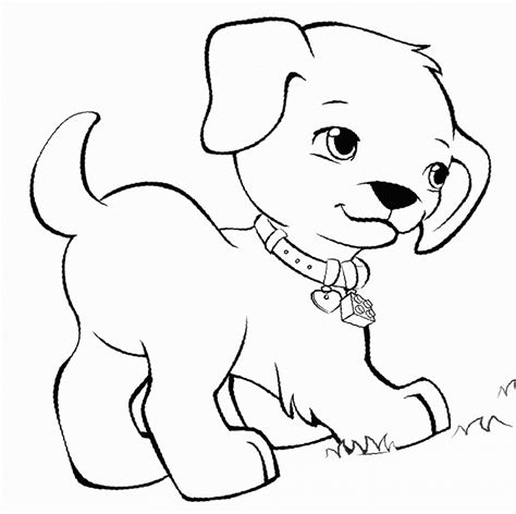 Tips for Coloring Pet Pages