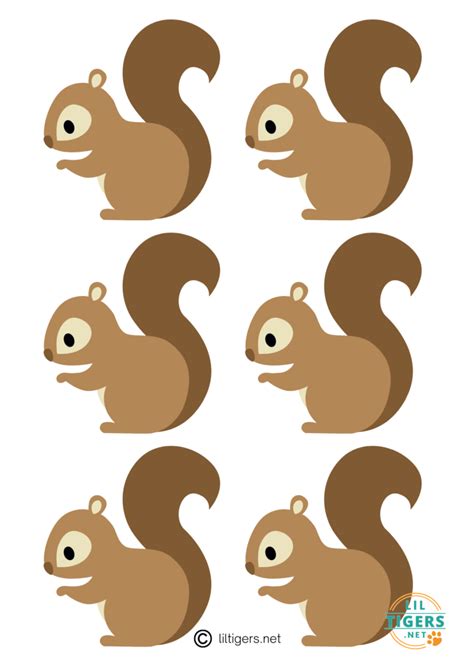 Tips for Squirrel Templates