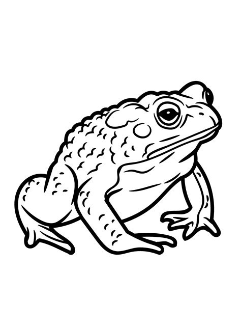 Toad coloring pages