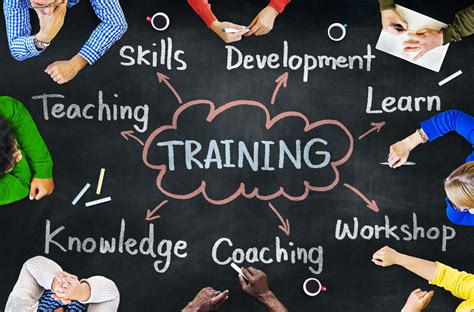 Training and development on a basketball court