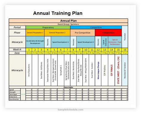 Training Program Design Rollout Plan