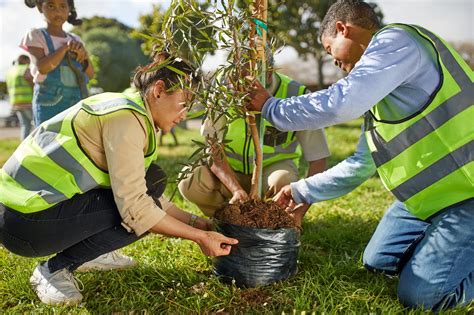 Tree Planting