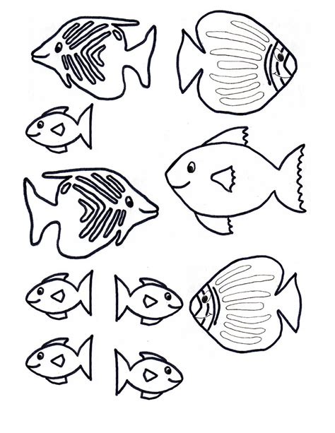 Tropical Fish Templates