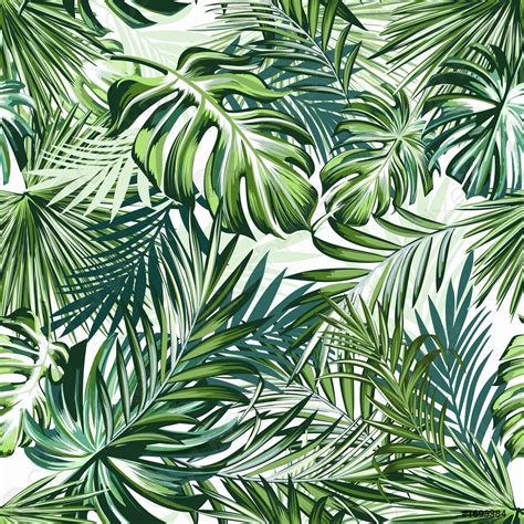 Tropical Leaf Patterns