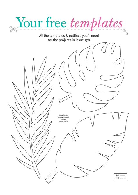 Tropical print templates for vibrant designs