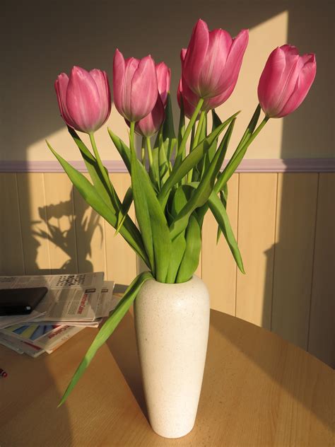 Description of Tulip Flower Design