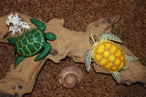 Description of Turtle Craft Supplies