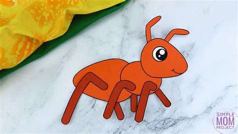 Types of Ant Craft Templates