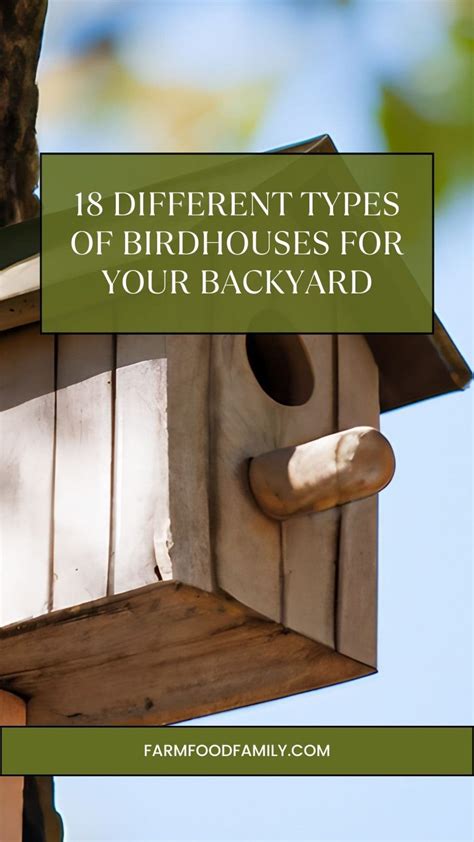 Types of Birdhouses