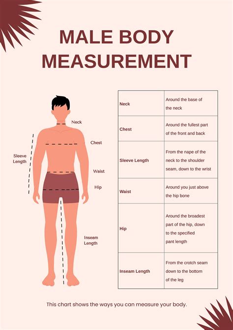 Types of Body Measurement Charts