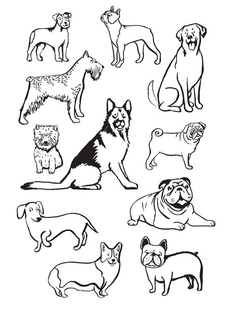 Types of dog coloring pages