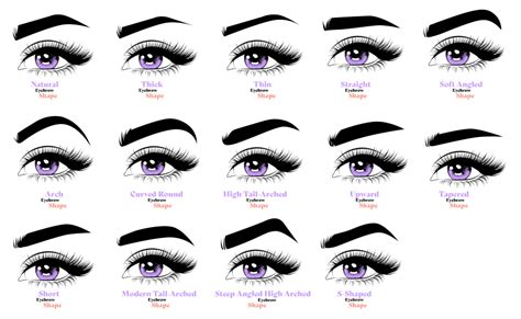 Types of Eyebrow Templates