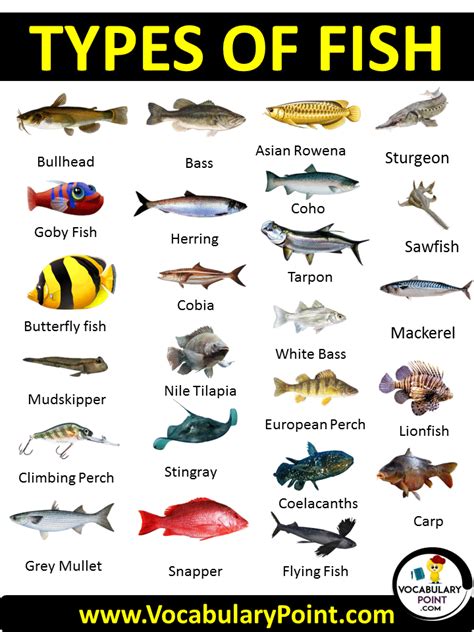 Types of fish printables for education and art