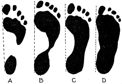 Types of Footprint Prints Image