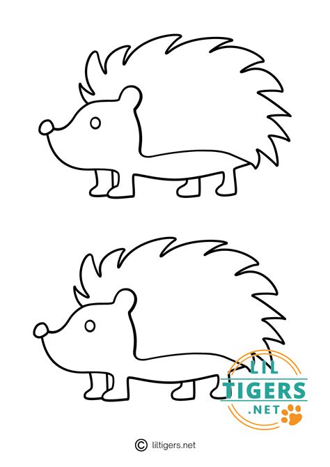 Variety of hedgehog templates for different uses