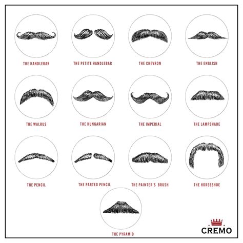 Types of Mustache Prints