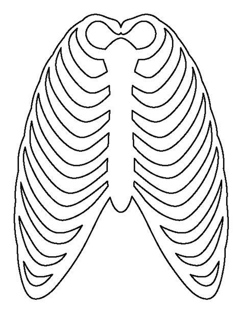 Types of Printable Rib Cage Templates