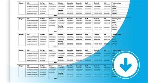 Types of Volleyball Stat Sheets