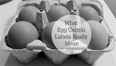 Understanding the importance of egg carton labels