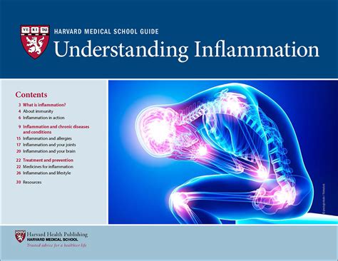 Understanding Inflammation and Diet