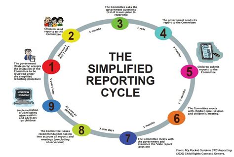 Understanding the reporting process