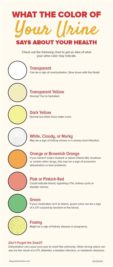 Urine Color Chart for Pregnant Women