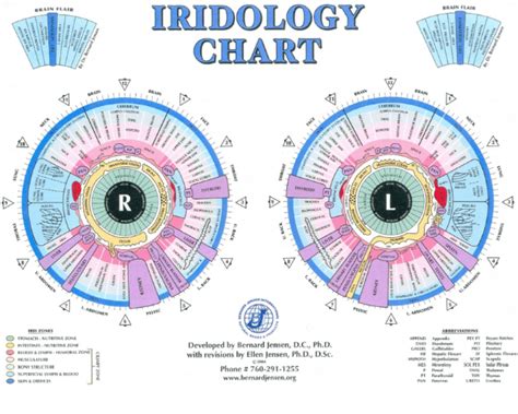 Using the Iridology Chart in Conjunction with Other Health Modalities