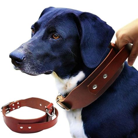 using leather dog collars