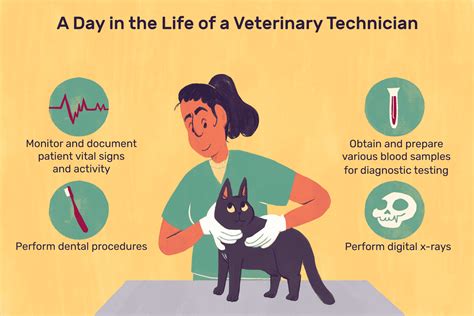 Veterinary Technician Role