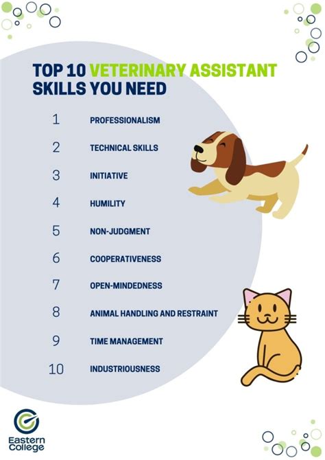 Veterinary Technician Skills