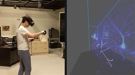 Virtual reality tracing experiences