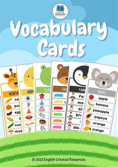 Description of Vocabulary Cards