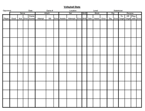 Volleyball Stat Sheets Player