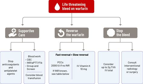 Warfarin Lifestyle