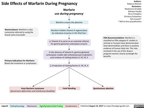 Warfarin Pregnancy