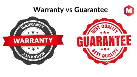 Understanding warranties and guarantees in a lawn care contract