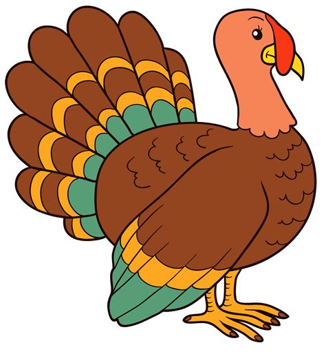 Turkey clipart on the web