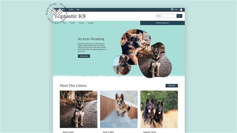 Website Template Image