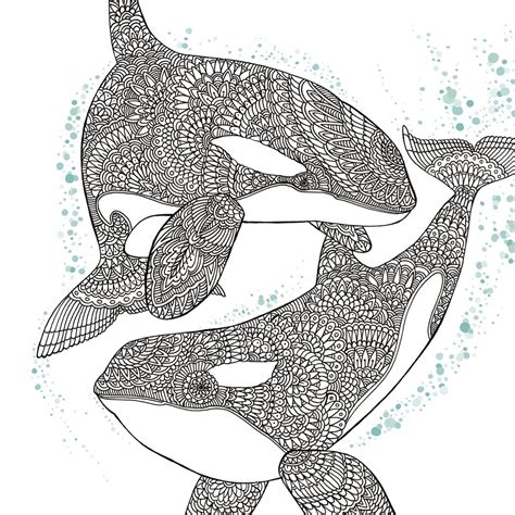 Whale Coloring Page for Adults