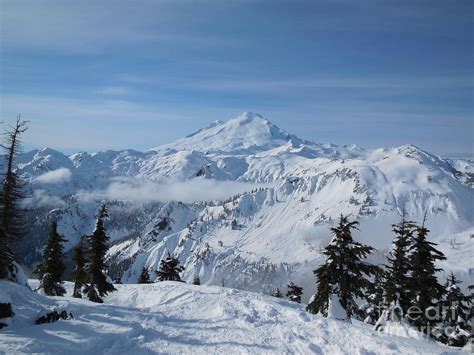 Whatcom County Landscape