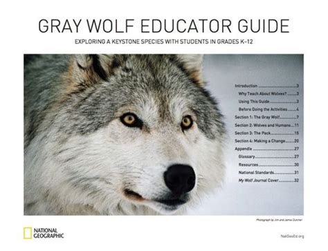 Wolf education