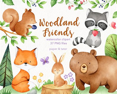 Woodland Clipart