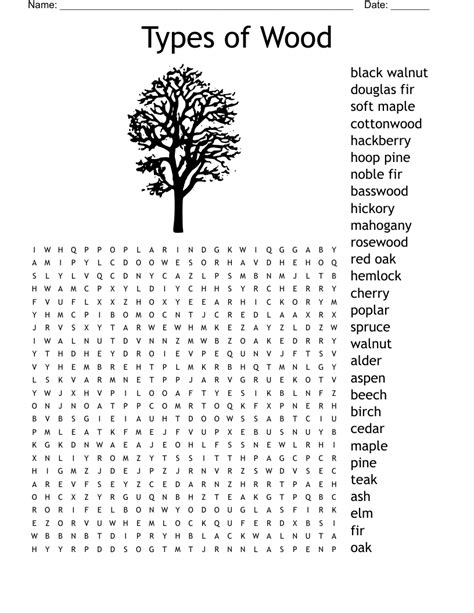 Different types of word searches