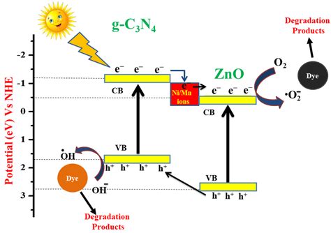 Working Mechanisms of EBT