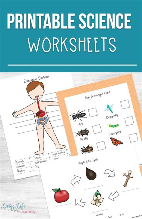 Worksheets for Science